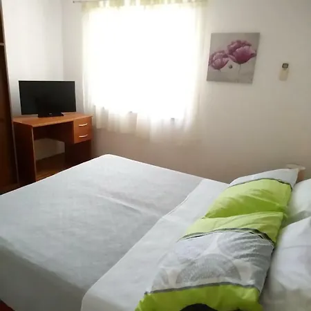 Summer Night Dream זאדאר