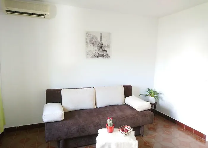 Summer Night Dream *