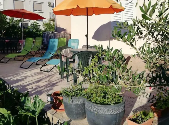 Summer Night Dream * Ζαντάρ