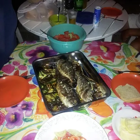 Summer Night Dream * Zára