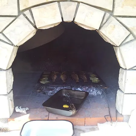 Summer Night Dream *