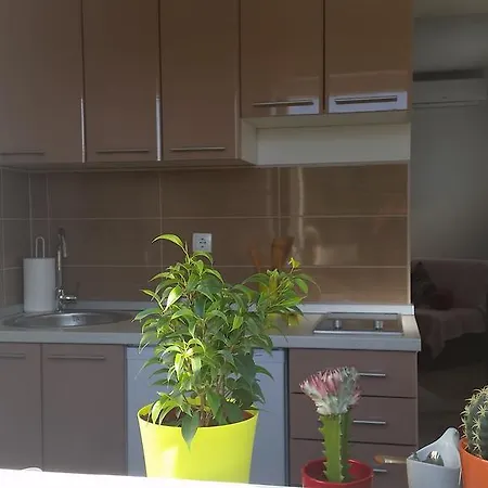 Summer Night Dream Zadar