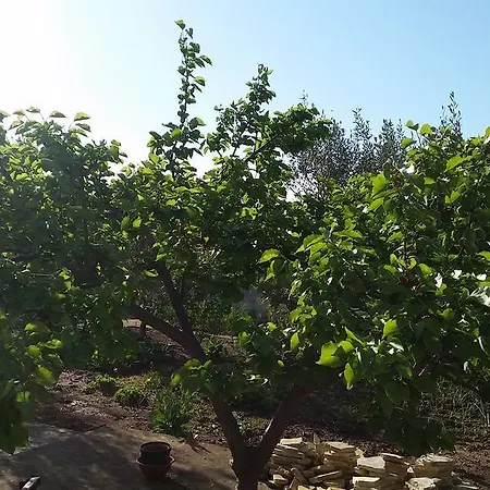 Apartmán Summer Night Dream