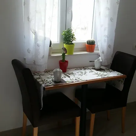 Apartman Summer Night Dream *