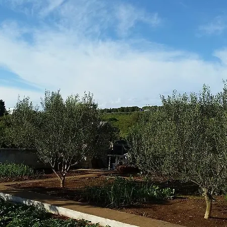 Apartmán Summer Night Dream Zadar