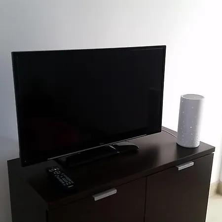 Summer Night Dream *