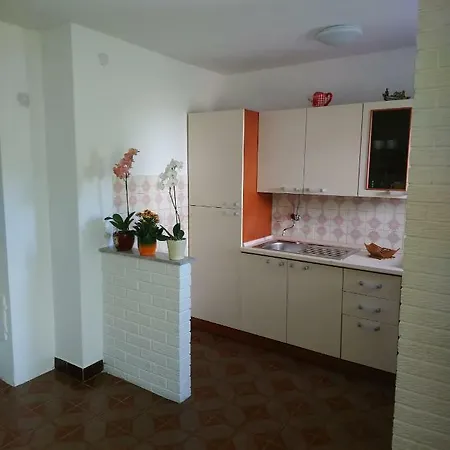 Summer Night Dream * Zára