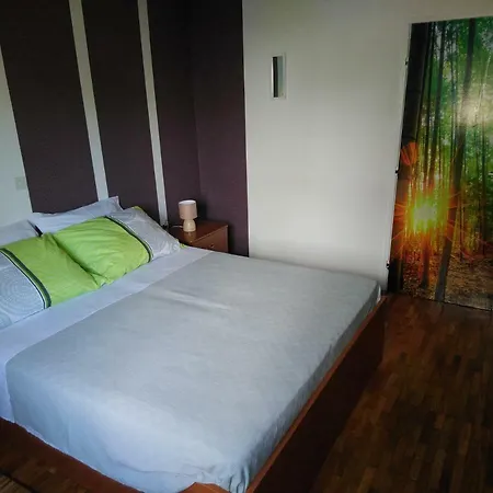 Summer Night Dream * Zadar