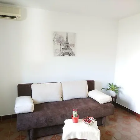 Summer Night Dream *