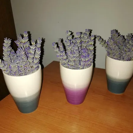 Apartman Summer Night Dream Zára