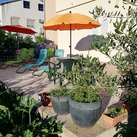 Summer Night Dream * Zadar