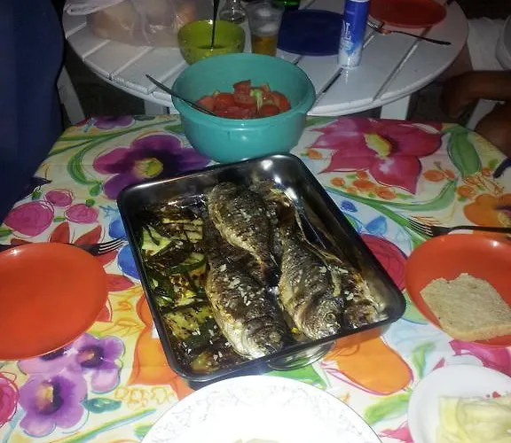 Summer Night Dream * Zadar