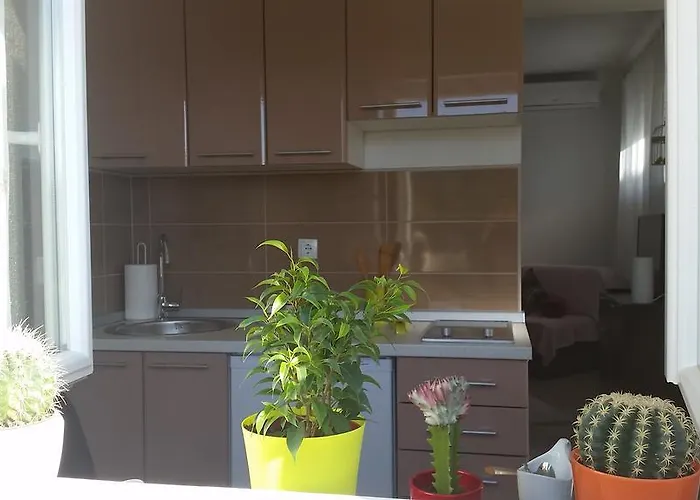 Summer Night Dream Zadar