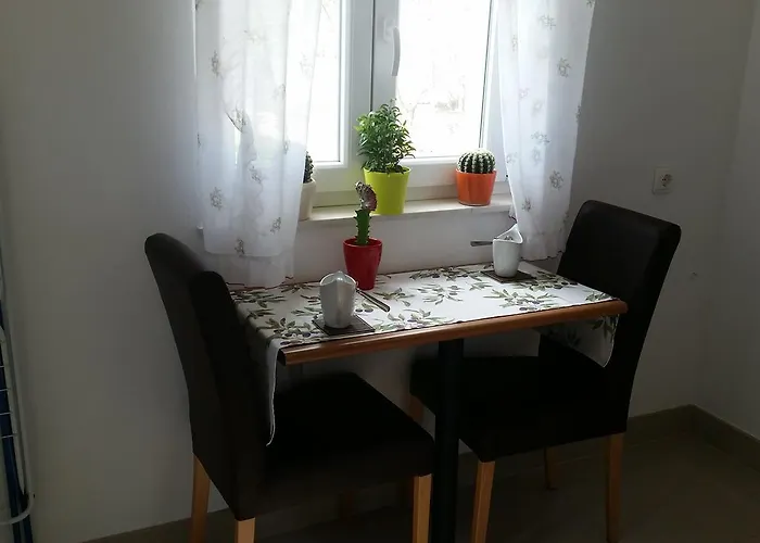 Apartament Summer Night Dream *