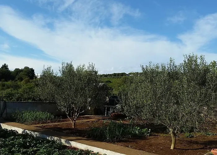 Apartament Summer Night Dream Zadar