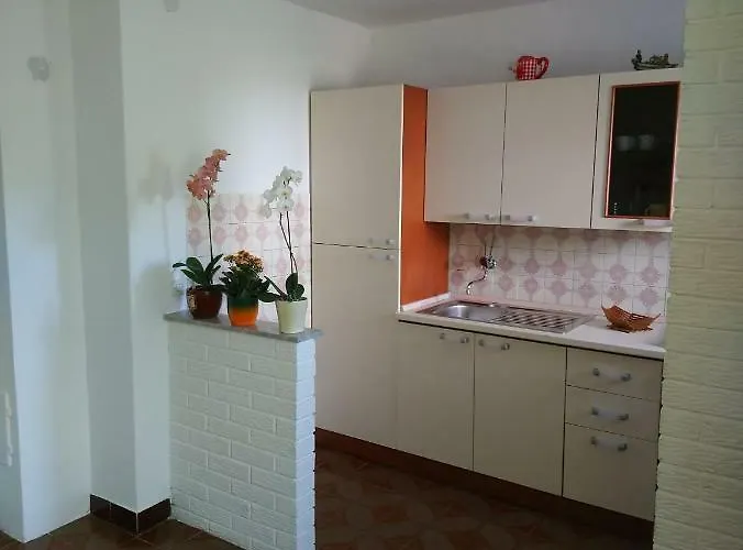 Summer Night Dream * Zadar