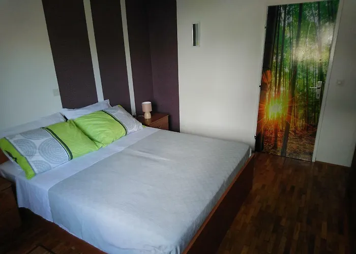 Summer Night Dream * Zadar