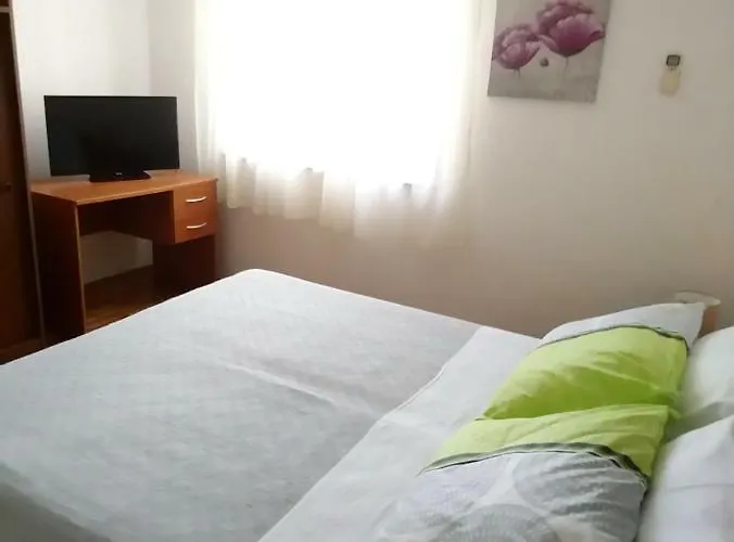 Summer Night Dream Zadar