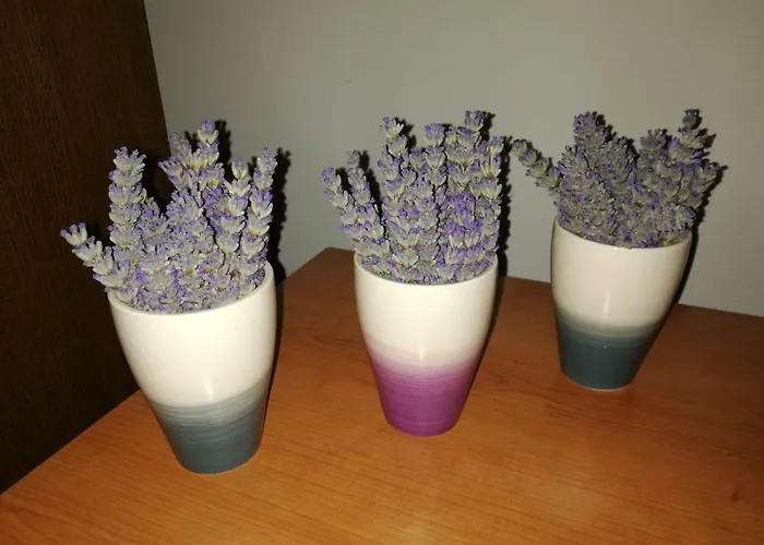 Apartmán Summer Night Dream Zadar