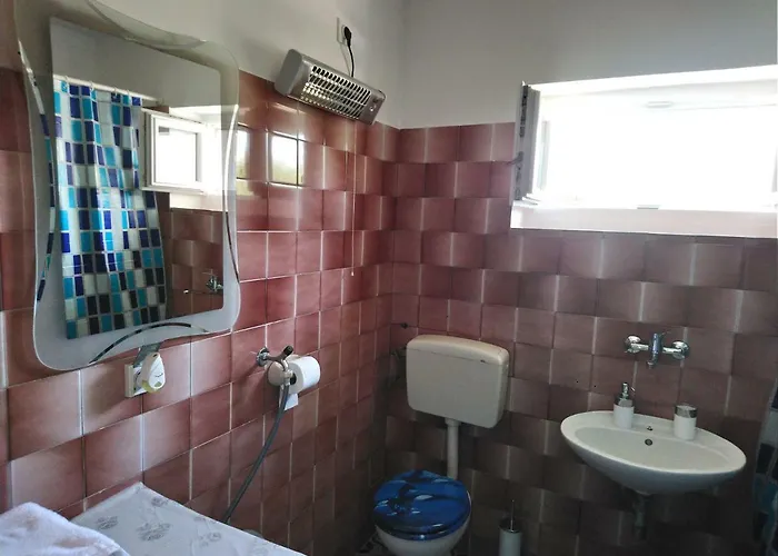 Summer Night Dream *